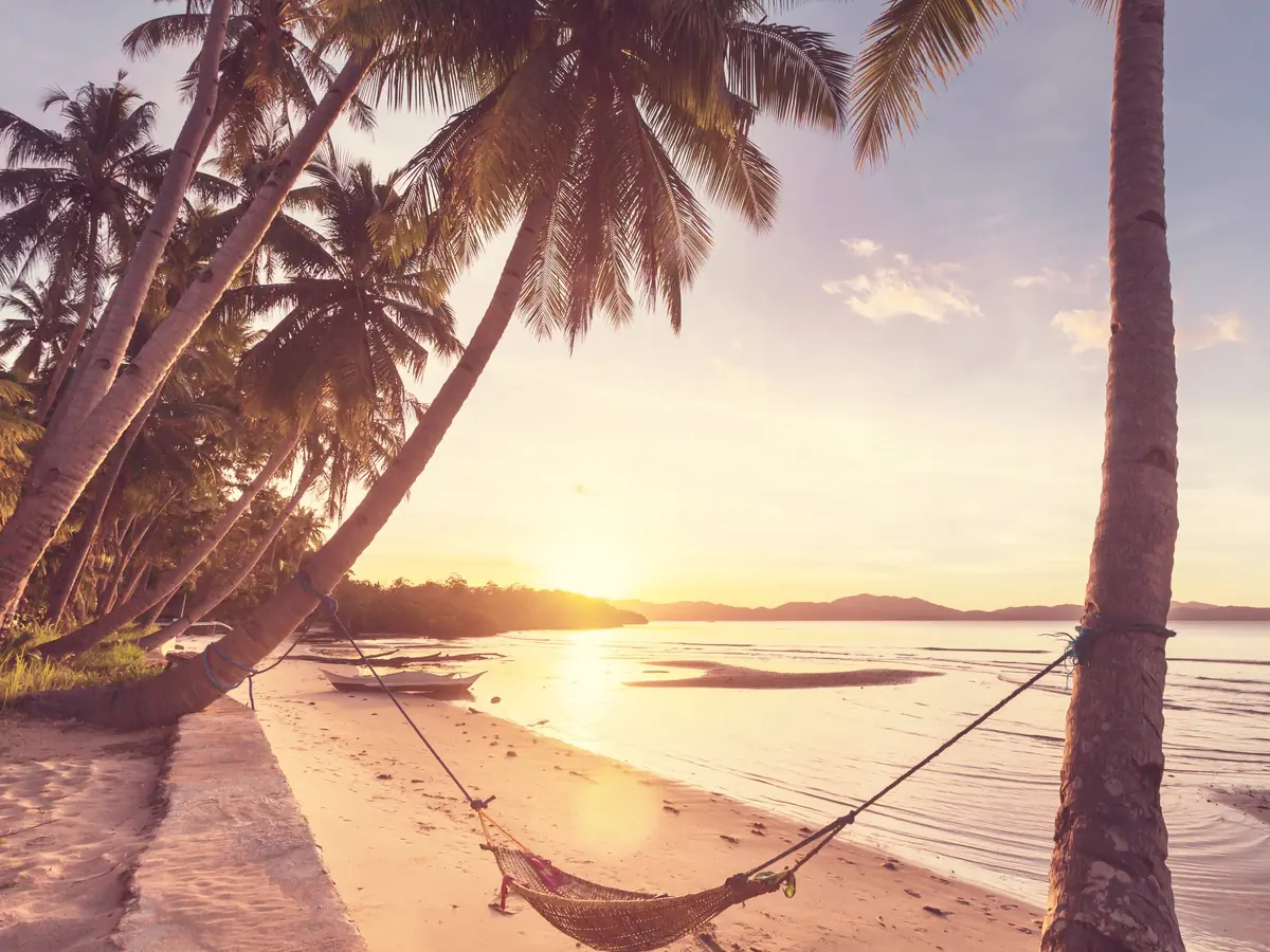 Palm trees and a hammock on a beach at sunset
